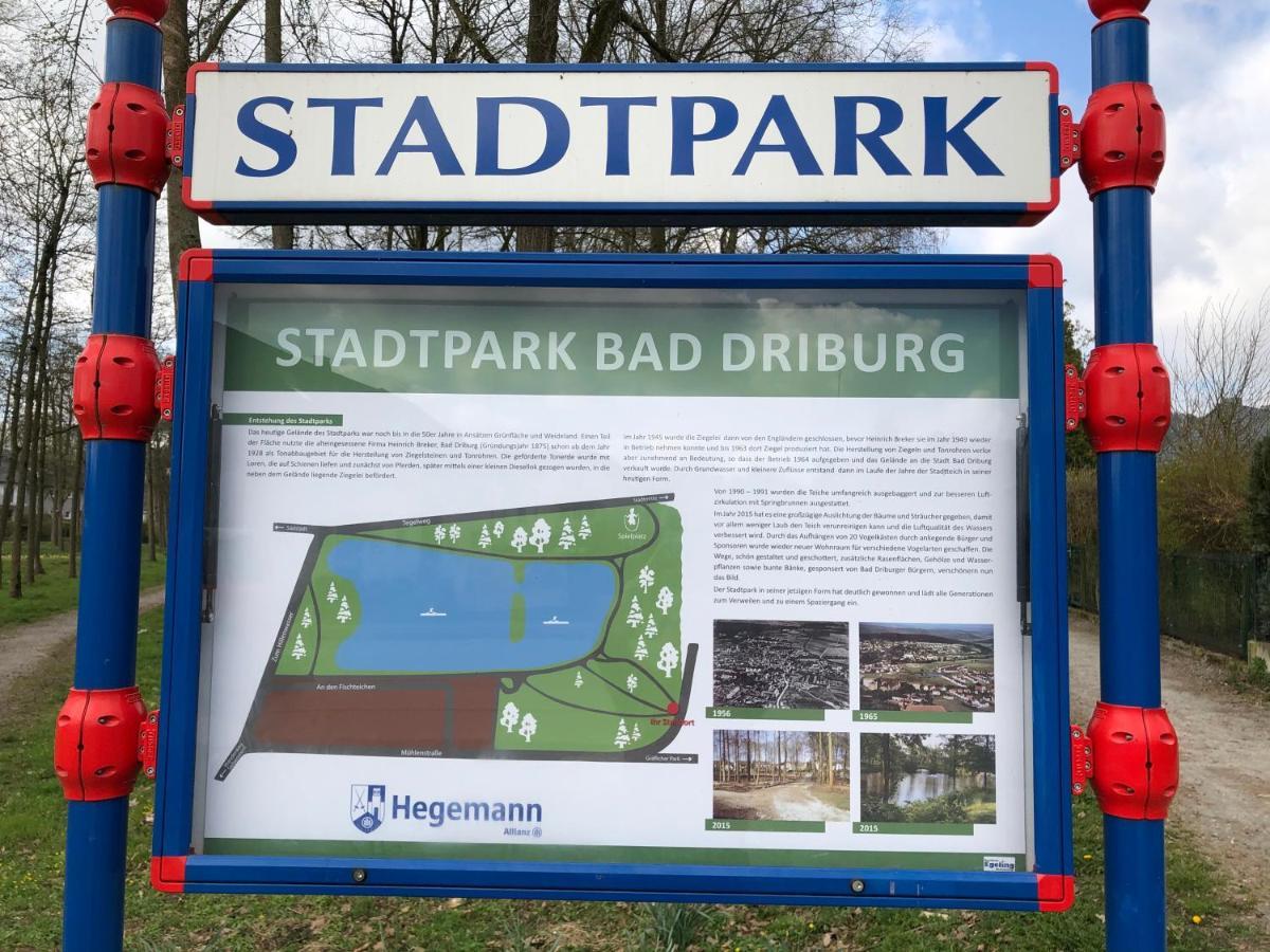 Exklusives Wohnen Am Stadtpark Bad Driburg Eksteriør billede