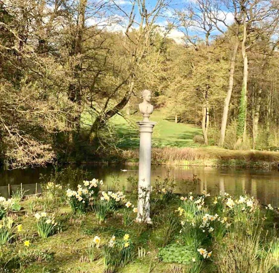 Exklusives Wohnen Am Stadtpark Bad Driburg Eksteriør billede